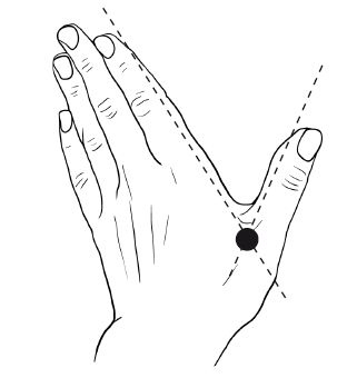 Иллюстрация к книге — Метод «Ключ» от комнаты страха твоего мозга. Заставь стресс работать на тебя [i_010.jpg]