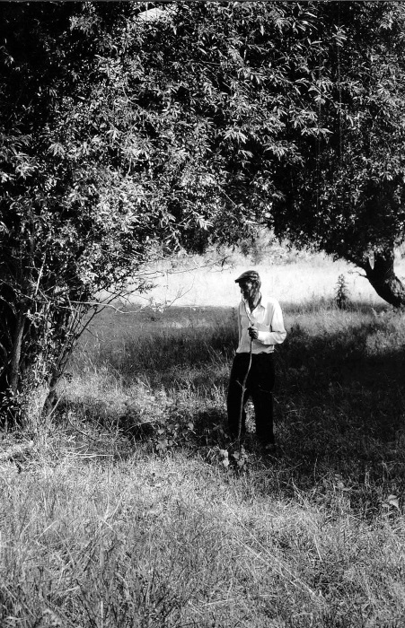 Иллюстрация к книге — Танцующие медведи. Опыт обретения свободы [img_10.jpg]