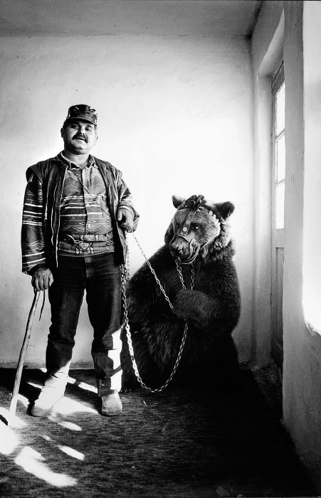 Иллюстрация к книге — Танцующие медведи. Опыт обретения свободы [img_5.jpg]