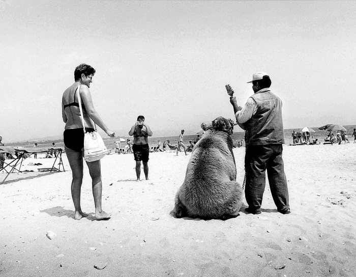 Иллюстрация к книге — Танцующие медведи. Опыт обретения свободы [img_7.jpg]