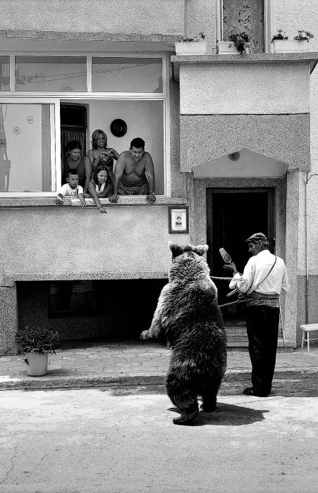 Иллюстрация к книге — Танцующие медведи. Опыт обретения свободы [img_8.jpg]