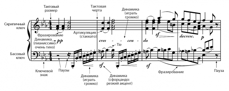 Иллюстрация к книге — Музыкальный инстинкт. Почему мы любим музыку [i_006.jpg]