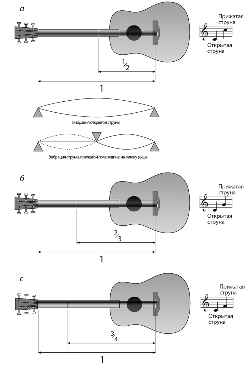 Иллюстрация к книге — Музыкальный инстинкт. Почему мы любим музыку [i_007.jpg]