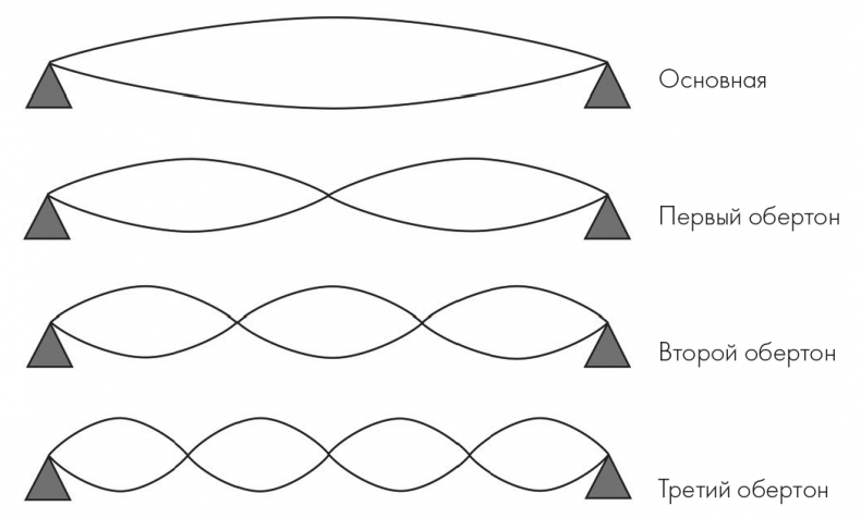 Иллюстрация к книге — Музыкальный инстинкт. Почему мы любим музыку [i_020.jpg]