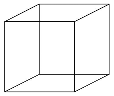 Иллюстрация к книге — Музыкальный инстинкт. Почему мы любим музыку [i_026.jpg]