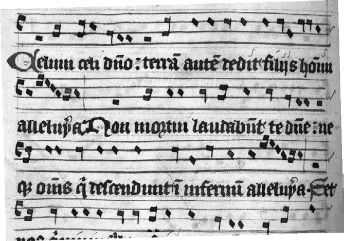 Иллюстрация к книге — Музыкальный инстинкт. Почему мы любим музыку [i_168.jpg]