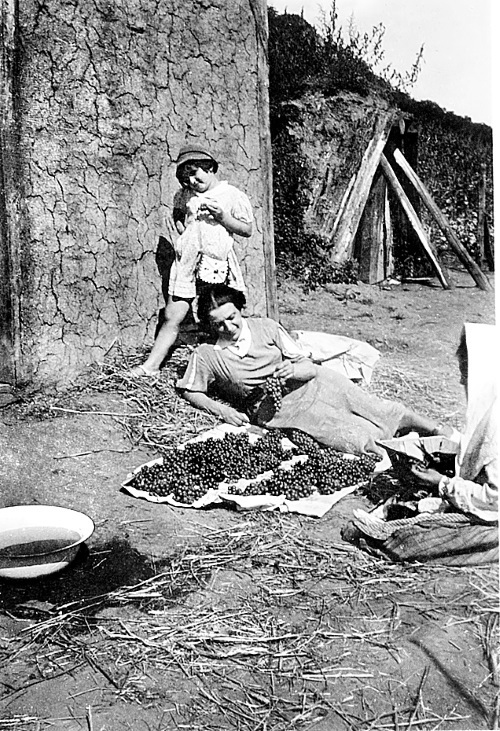 Иллюстрация к книге — В тени Холокоста. Дневник Рении [i_006.jpg]