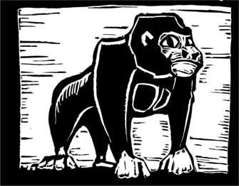 Иллюстрация к книге — Краткая история философии [i_025.jpg]