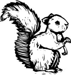 Иллюстрация к книге — Краткая история философии [i_028.jpg]