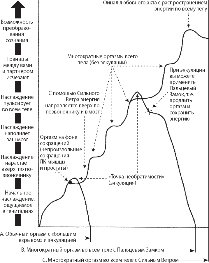 Иллюстрация к книге — Мульти-оргазмический мужчина. Как каждый мужчина может испытать множественный оргазм и сделать потрясающими свои сексуальные отношения [i_004.jpg]