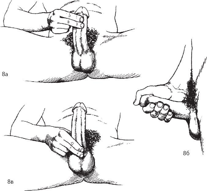 Иллюстрация к книге — Мульти-оргазмический мужчина. Как каждый мужчина может испытать множественный оргазм и сделать потрясающими свои сексуальные отношения [i_008.jpg]