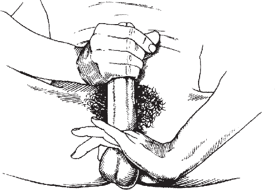 Иллюстрация к книге — Мульти-оргазмический мужчина. Как каждый мужчина может испытать множественный оргазм и сделать потрясающими свои сексуальные отношения [i_009.jpg]