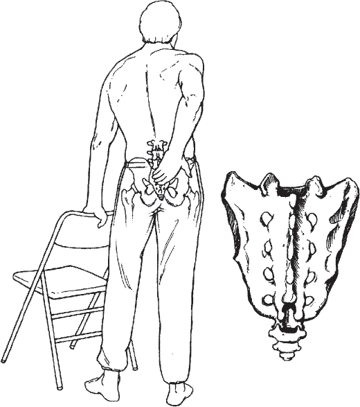 Иллюстрация к книге — Мульти-оргазмический мужчина. Как каждый мужчина может испытать множественный оргазм и сделать потрясающими свои сексуальные отношения [i_017.jpg]