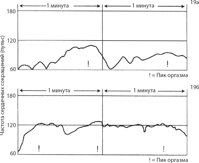 Иллюстрация к книге — Мульти-оргазмический мужчина. Как каждый мужчина может испытать множественный оргазм и сделать потрясающими свои сексуальные отношения [i_019.jpg]