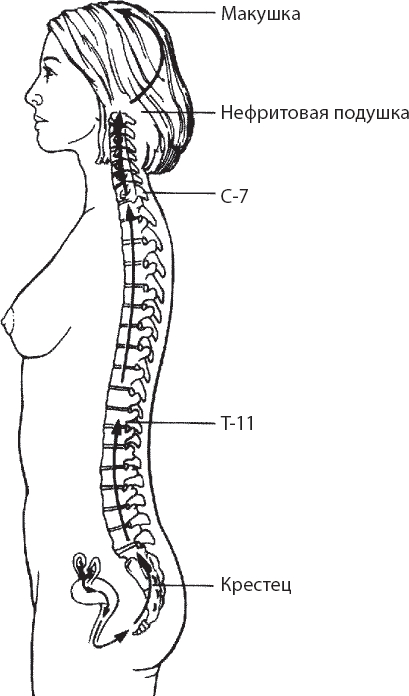 Иллюстрация к книге — Мульти-оргазмический мужчина. Как каждый мужчина может испытать множественный оргазм и сделать потрясающими свои сексуальные отношения [i_035.jpg]