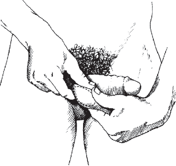 Иллюстрация к книге — Мульти-оргазмический мужчина. Как каждый мужчина может испытать множественный оргазм и сделать потрясающими свои сексуальные отношения [i_036.jpg]