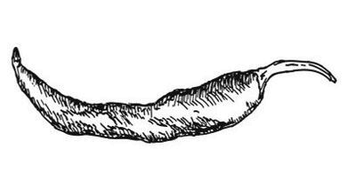 Иллюстрация к книге — Великолепная Прага. Город золотого волшебства [img_65.jpg]