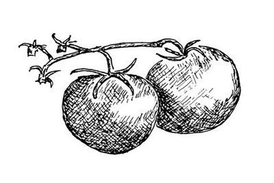 Иллюстрация к книге — Великолепная Прага. Город золотого волшебства [img_74.jpg]