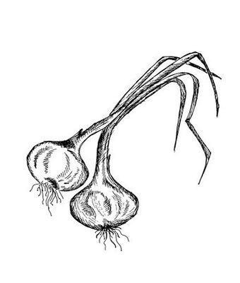 Иллюстрация к книге — Великолепная Прага. Город золотого волшебства [img_78.jpg]