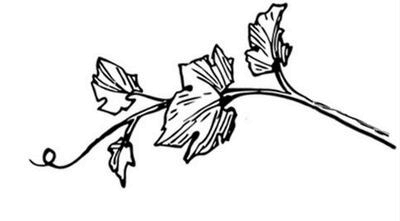 Иллюстрация к книге — Великолепная Прага. Город золотого волшебства [img_81.jpg]