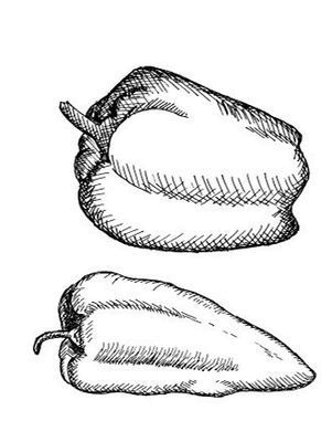 Иллюстрация к книге — Великолепная Прага. Город золотого волшебства [img_85.jpg]