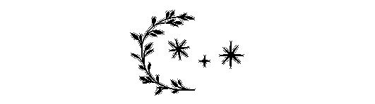 Иллюстрация к книге — Сестра звёзд [i_032.jpg]