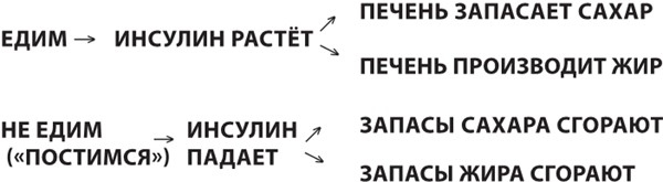 Иллюстрация к книге — Интервальное голодание. Как восстановить свой организм, похудеть и активизировать работу мозга [i_017.jpg]