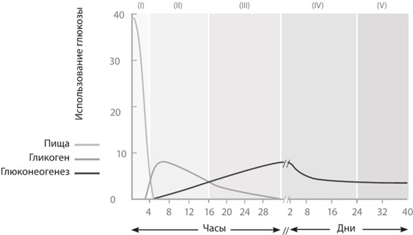 Иллюстрация к книге — Интервальное голодание. Как восстановить свой организм, похудеть и активизировать работу мозга [i_018.jpg]