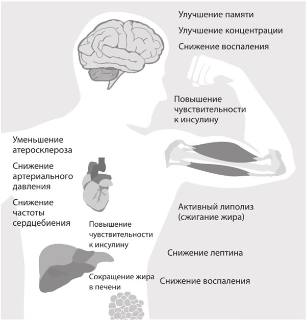 Иллюстрация к книге — Интервальное голодание. Как восстановить свой организм, похудеть и активизировать работу мозга [i_064.jpg]