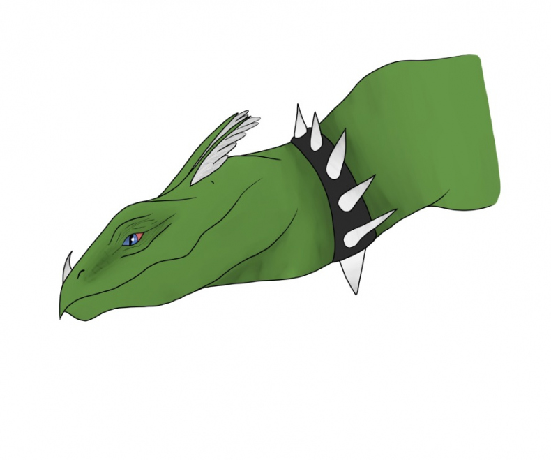 Иллюстрация к книге — Легенда о Светлом Клане [_24.jpg]