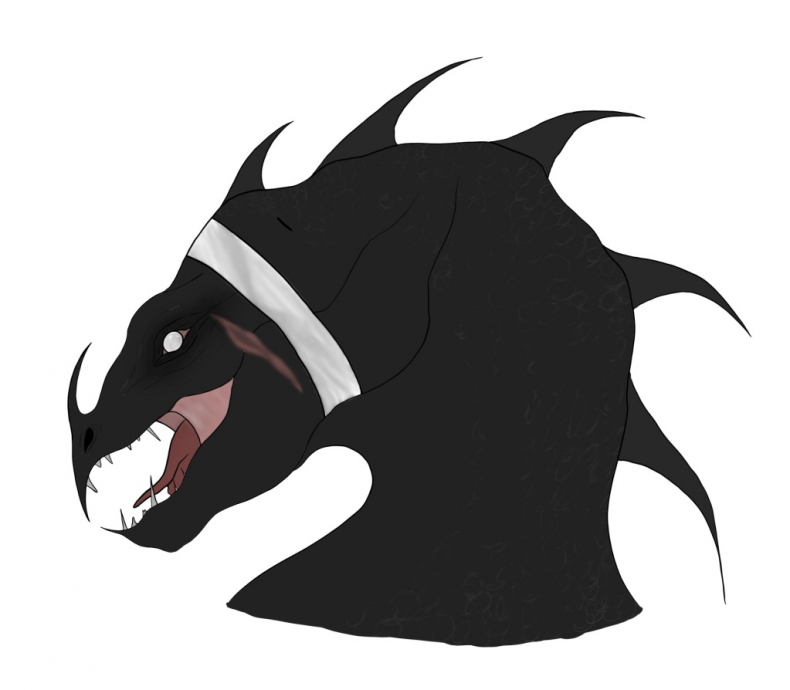 Иллюстрация к книге — Легенда о Светлом Клане [_27.jpg]