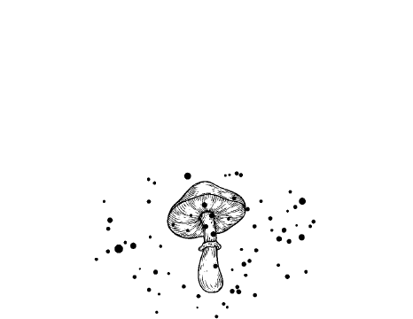 Иллюстрация к книге — Сознание. Все тайны разума – от растений до искусственного интеллекта [i_004.jpg]