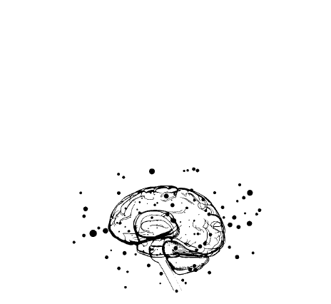 Иллюстрация к книге — Сознание. Все тайны разума – от растений до искусственного интеллекта [i_009.jpg]