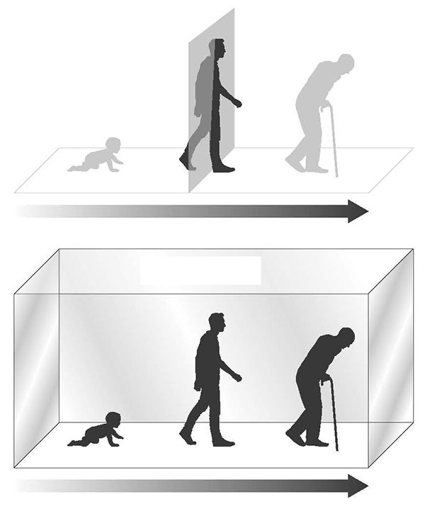 Иллюстрация к книге — Сознание. Все тайны разума – от растений до искусственного интеллекта [i_011.jpg]