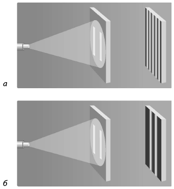 Иллюстрация к книге — Сознание. Все тайны разума – от растений до искусственного интеллекта [i_012.jpg]