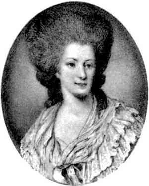 Иллюстрация к книге — История петербургских особняков. Дома и люди [i_297.jpg]