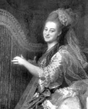 Иллюстрация к книге — История петербургских особняков. Дома и люди [i_309.jpg]