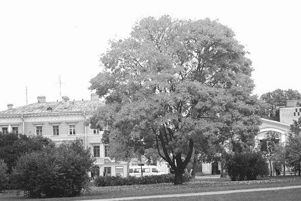 Иллюстрация к книге — Царское Село. Знакомое и незнакомое [i_159.jpg]