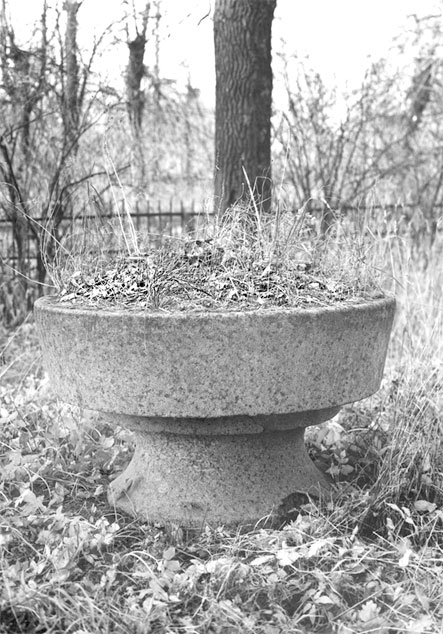 Иллюстрация к книге — Царское Село. Знакомое и незнакомое [i_311.jpg]