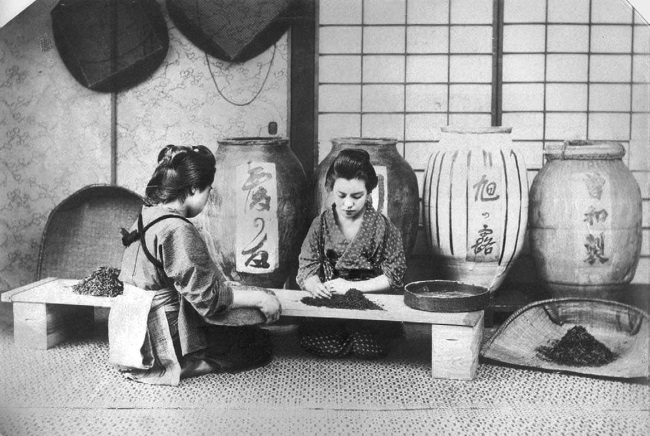 Иллюстрация к книге — Нам нужна великая Россия [i_100.jpg]