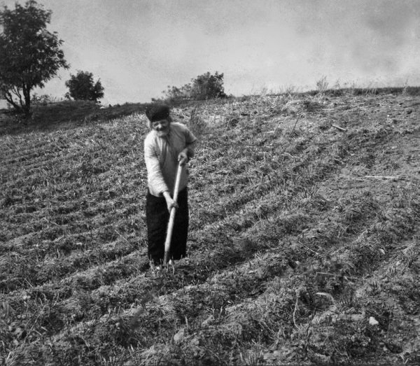 Иллюстрация к книге — Нам нужна великая Россия [i_106.jpg]