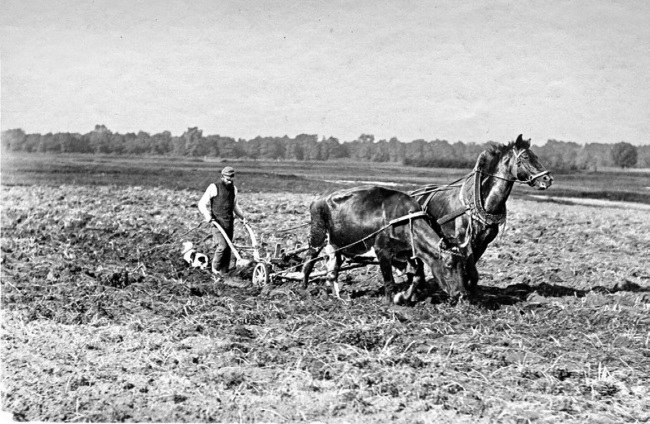 Иллюстрация к книге — Нам нужна великая Россия [i_153.jpg]