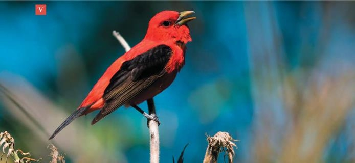 Иллюстрация к книге — Как работает музыка [i_014.jpg]