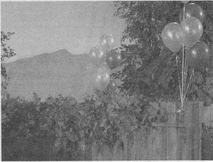 Иллюстрация к книге — Весь мир: Записки велосипедиста [i_008.jpg]