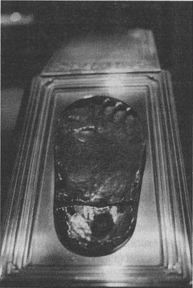 Иллюстрация к книге — Весь мир: Записки велосипедиста [i_036.jpg]