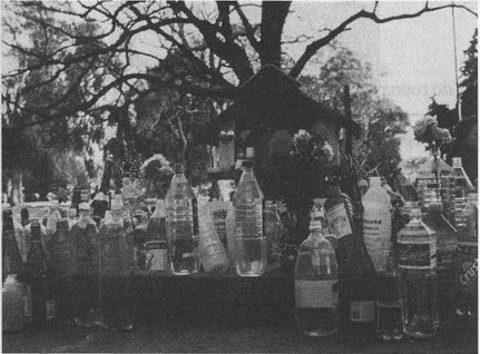 Иллюстрация к книге — Весь мир: Записки велосипедиста [i_040.jpg]