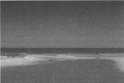 Иллюстрация к книге — Весь мир: Записки велосипедиста [i_066.jpg]