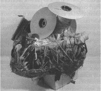 Иллюстрация к книге — Весь мир: Записки велосипедиста [i_085.jpg]