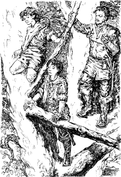 Иллюстрация к книге — Всё о волшебной стране Тилоаре [i_017.jpg]