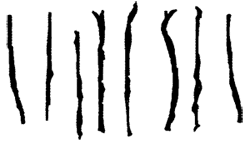 Иллюстрация к книге — Всё о волшебной стране Тилоаре [i_022.jpg]